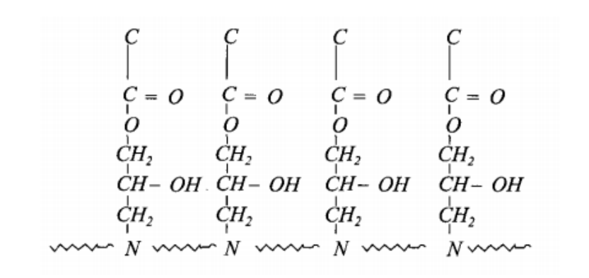 The structure diagram after the cross-linking reaction