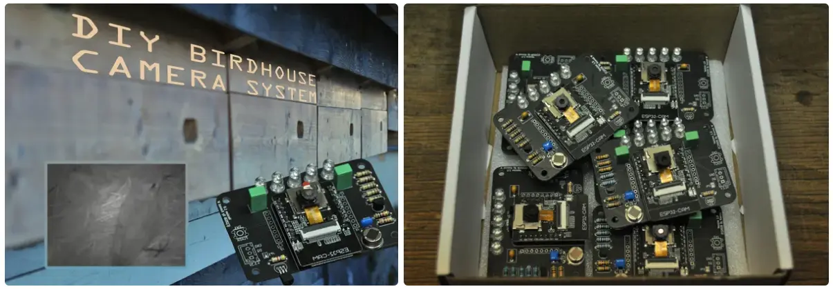 Flexible Birdhouse Camera System for Multiple Nests