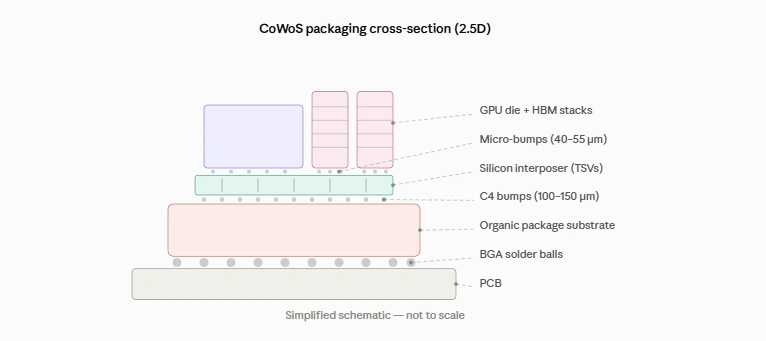 CoWoS packaging cross-section diagram showing GPU die, HBM stacks, silicon interposer and substrate